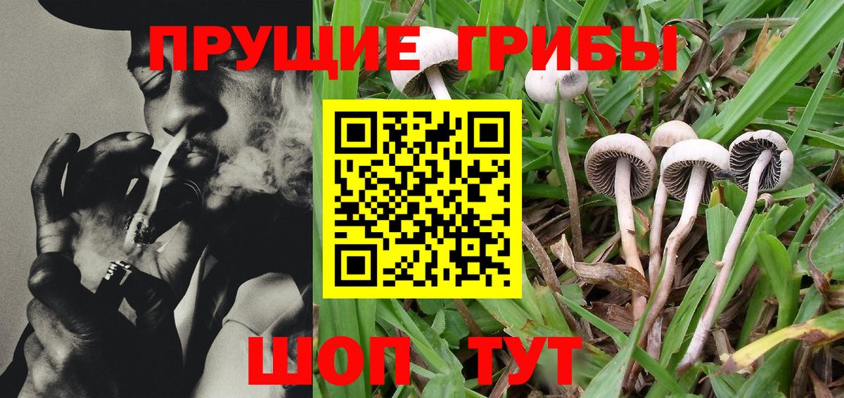 Галлюциногенные грибы MAGIC MUSHROOMS  Псилоцибиновые грибы GOLDEN TEACHER  Вход с VPN  Тельмана 