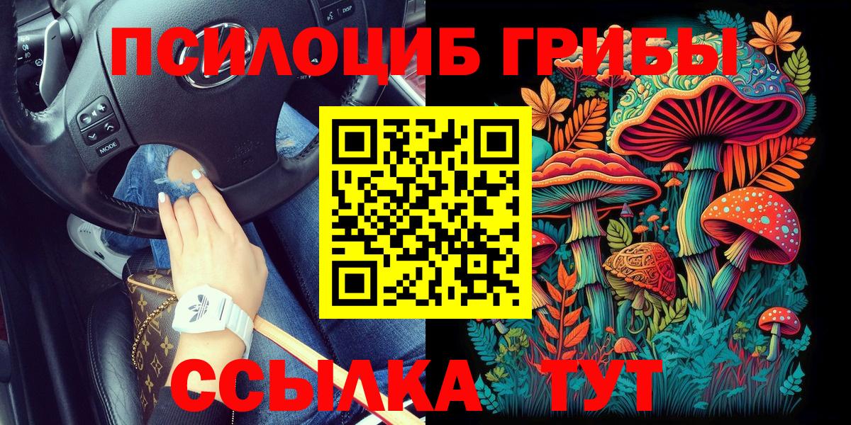 Галлюциногенные грибы Cubensis Тельмана