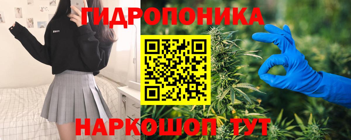 Бошки марихуана семена Тельмана